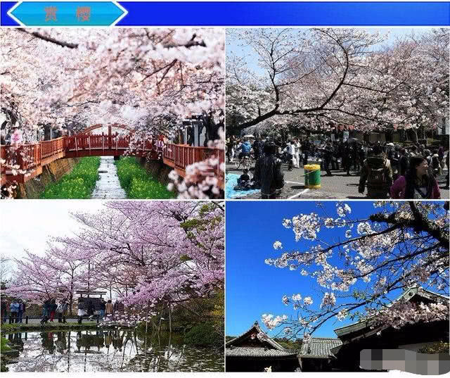 为什么非得去日本韩国旅游,为啥国人不去日本跟韩国旅游