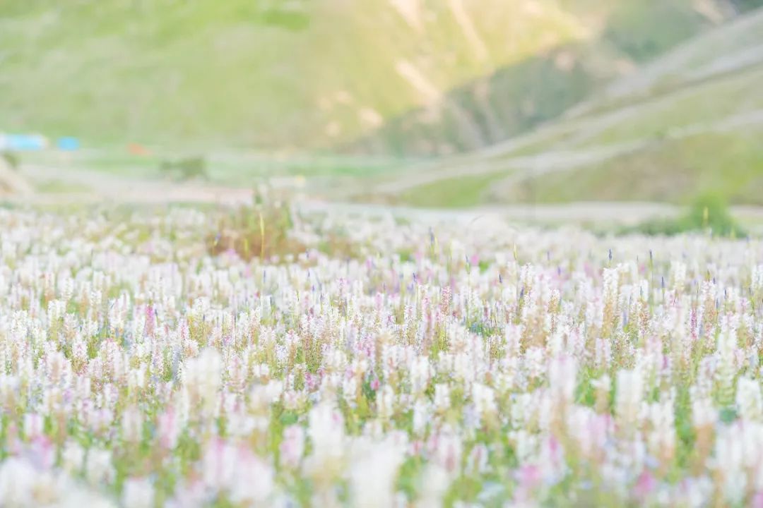 狂野飙车越野,青海穿越美景