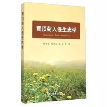 菊花最常见最严重虫害,菊花虫害有哪些