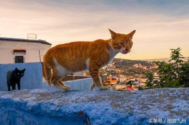 学习摄影的教程推荐,学习摄影到哪里去学