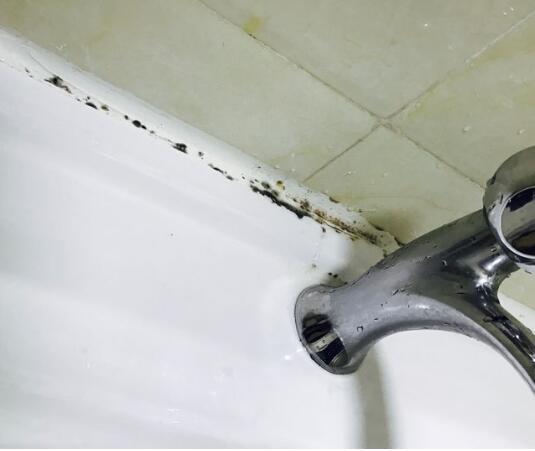 卫生间玻璃胶发霉换哪种好用,卫生间玻璃胶防发霉发黄