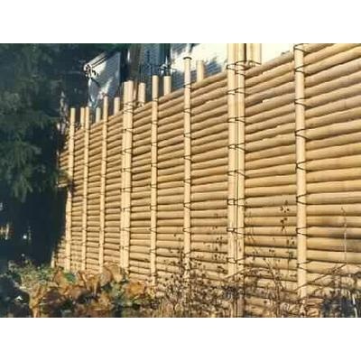 庭院元素,庭院竹子造型布局