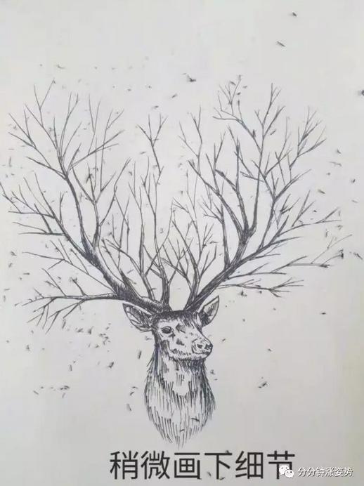 从入门到放弃系列图片,ipad绘画基础入门教程