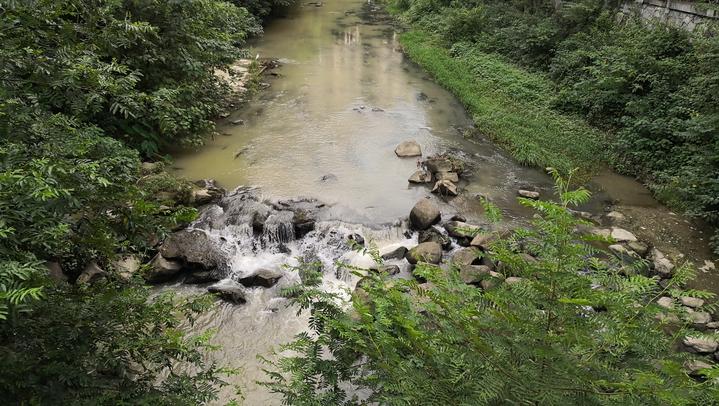 杭州一住户睡不着,杭州市城西住宅小区