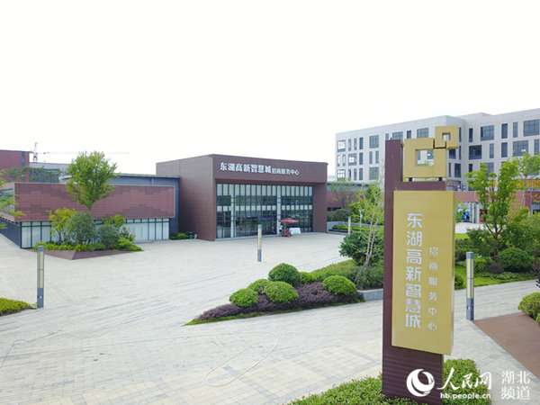 东湖高新集团三年规划,东湖高新集团的发展历程