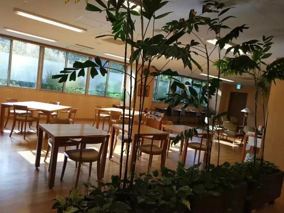 日本人基础体检项目,日本体检真的很准吗