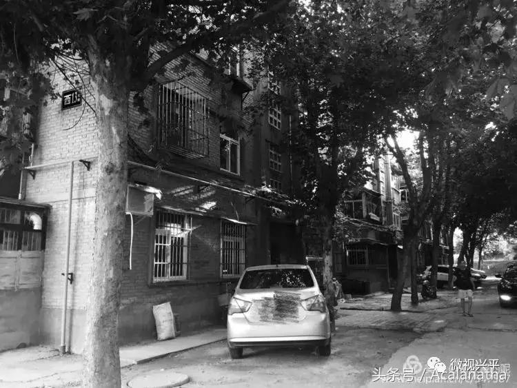 兴平：我的故乡我的云一一70后纤维厂纪事