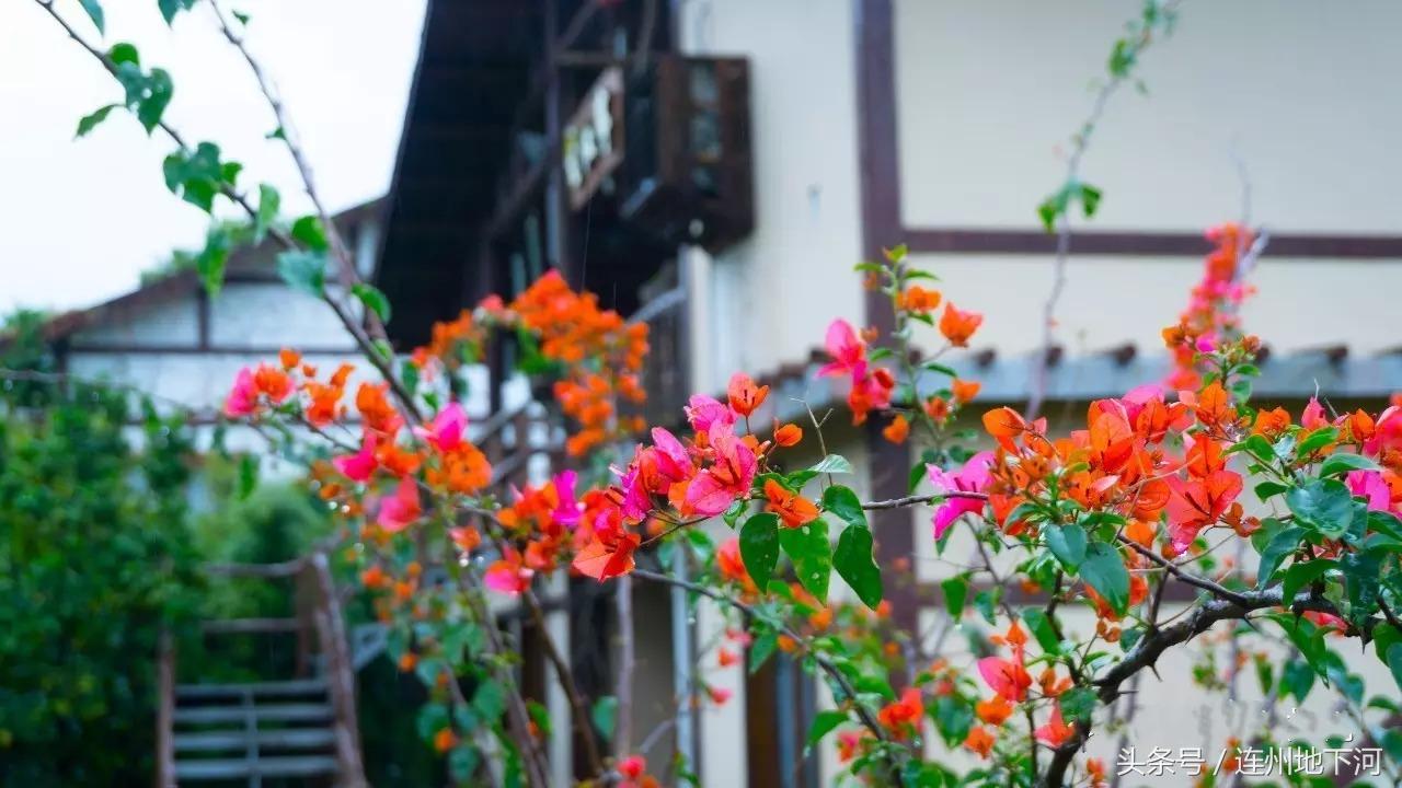 爱上美景只需要一秒,爱上甘南只需这十二个瞬间