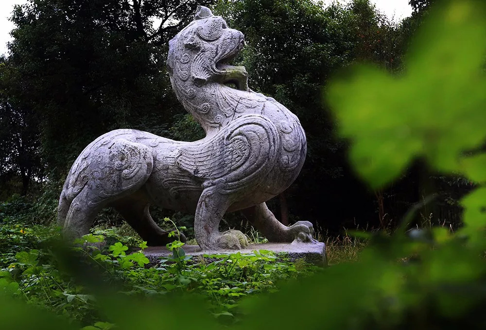 去丹阳配眼镜顺便逛逛,丹阳配眼镜好去处