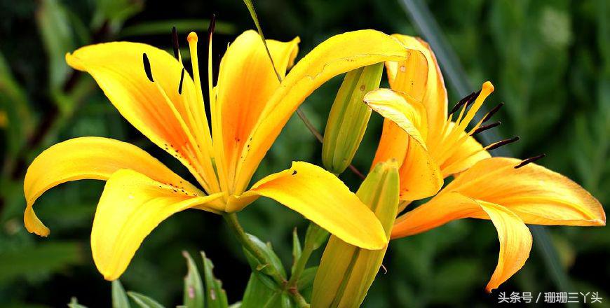 用色彩和光线拍出来的摄影作品,大色块高饱和度摄影什么风格