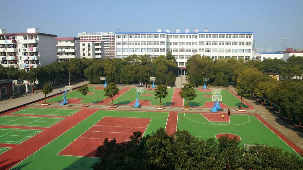 取消编制政策是好是坏,取消编制的感受