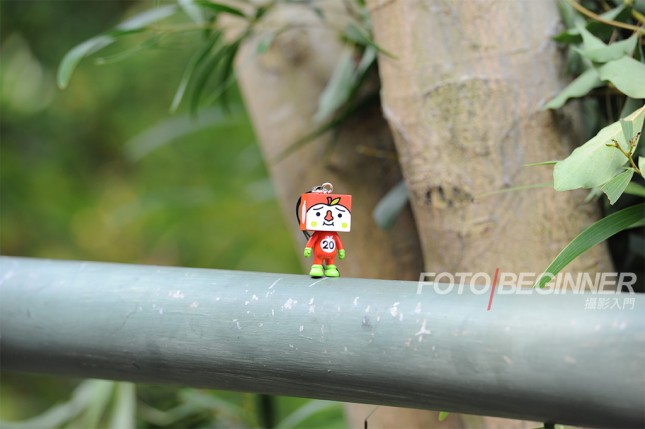 新手必学15个拍摄技巧风景,新手拍照必学15个拍摄技巧