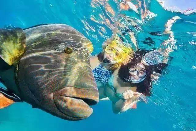 旅游目的地营销方向,小众目的地如何营销