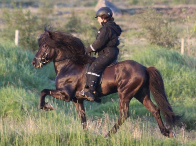 从零上7度到零下20度,从零上30度到零下30度