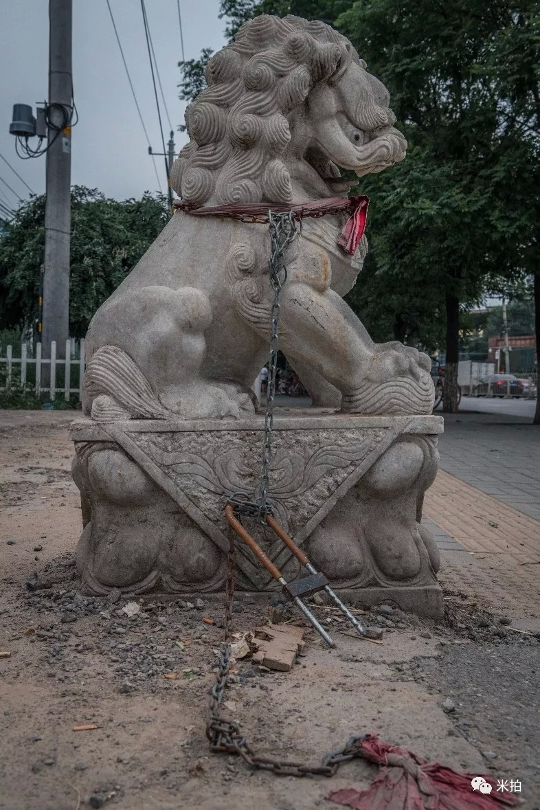这个夏天，100位年轻的摄影师在这里C位出道！