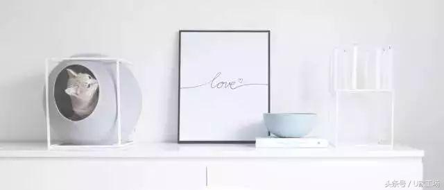 便宜又好用的猫窝有哪些,这六种猫窝你一定买过