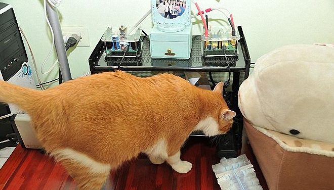 妗岄潰绯荤粺闊冲搷,妗岄潰闊崇绯荤粺