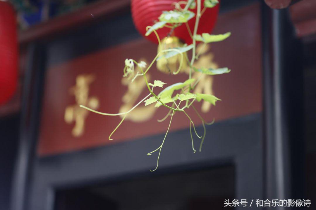 去康百万庄园穿什么好看,走进康百万庄园是什么体验