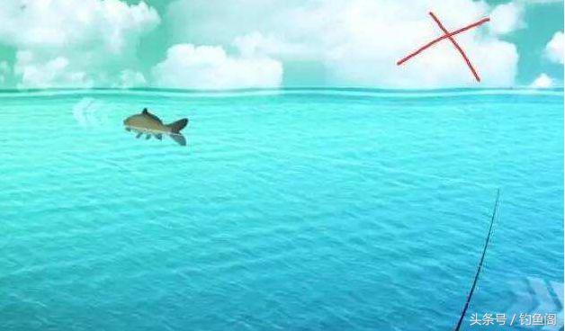 钓大鱼技巧防止切线,钓大鱼中鱼后怎么控鱼
