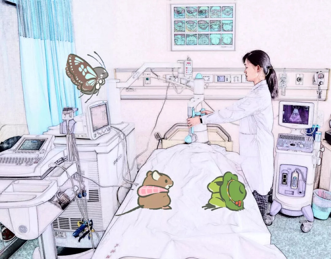 心脏震波治疗视频教程,心脏体外震波治疗的作用