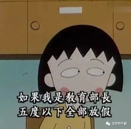 小丸子有多强大,小丸子的实力有多强大