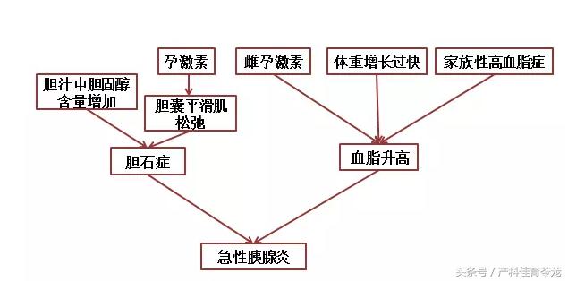 妊娠期急性胰腺炎个案护理,妊娠期急性胰腺炎症状