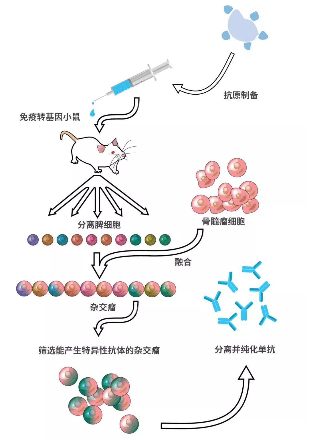 国产抗癌药pd1最新消息,重磅抗癌新药pd-1