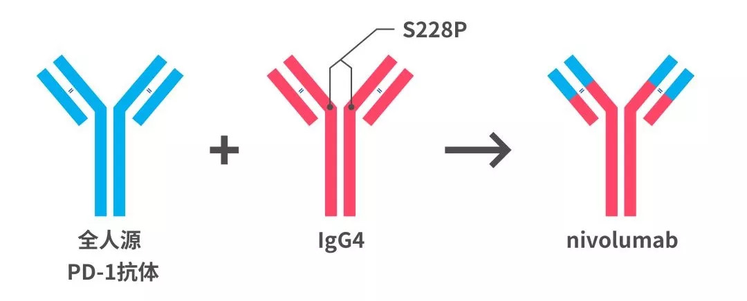 国产抗癌药pd1最新消息,重磅抗癌新药pd-1