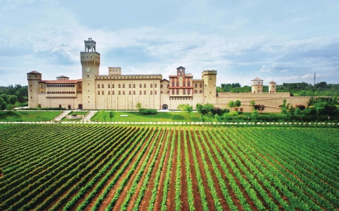 原来《西红柿首富》里的古堡就在你身边