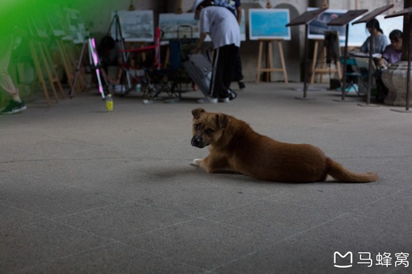 六小爷游皖南行,六小爷唱的歌