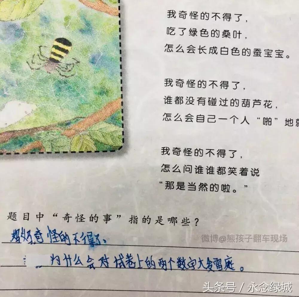 熊孩子脑洞大开文案怎么写,熊孩子令人哭笑不得文案