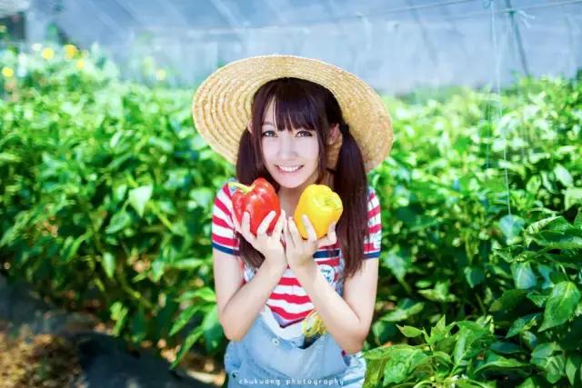 狗年犯太岁是哪几个生肖,狗年2021运势犯太岁怎么化解