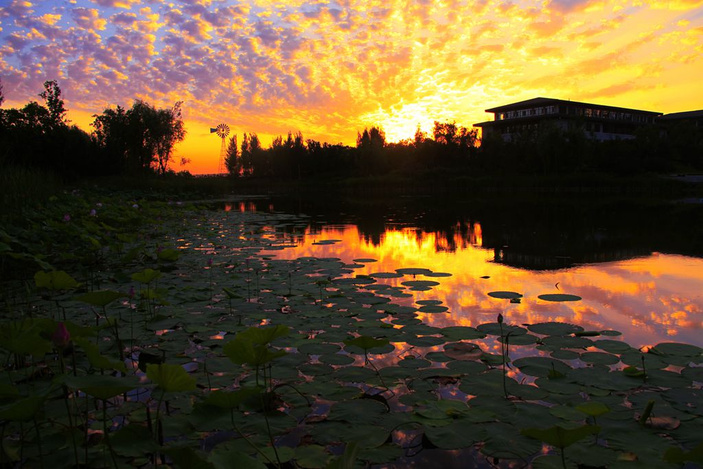莲花山转播台,莲花山上央视