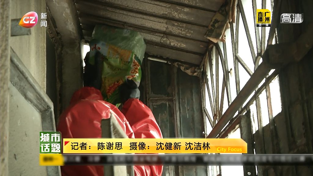 马蜂巢怎么处理,马蜂热门话题