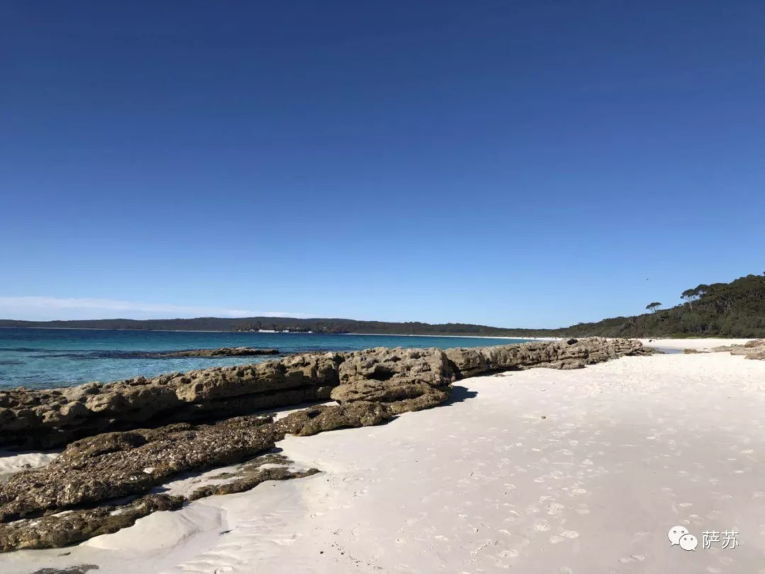 澳大利亚移民的血泪史,5000年前中国移民澳大利亚