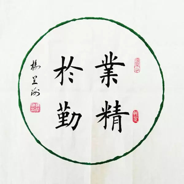 杨兰海书法入木三分行云流水