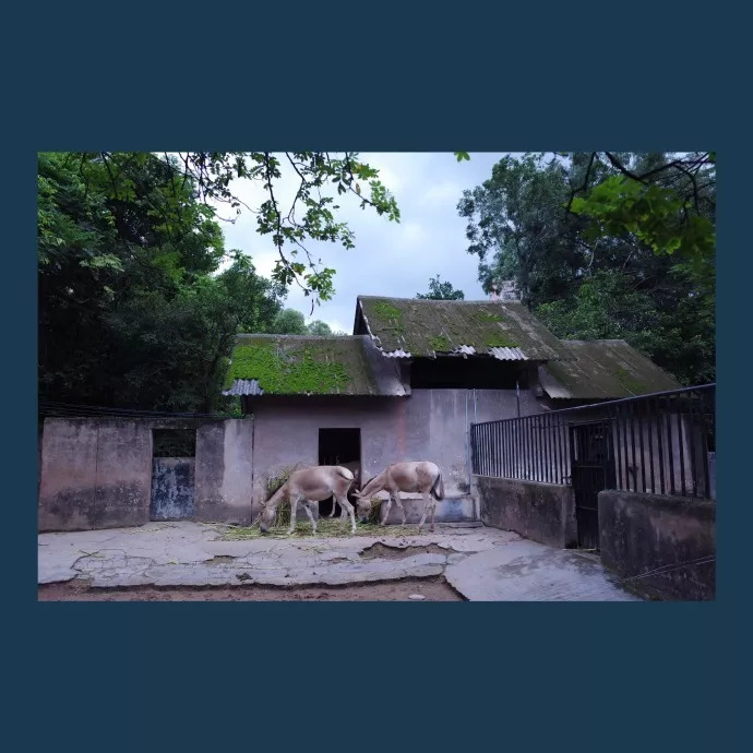 黄油相机有什么用处,黄油相机日常分享图片