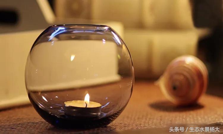 家里多余的闲置鱼缸,家里的空鱼缸处理方法