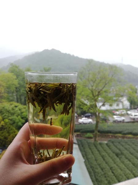 杭州两日游攻略推荐,杭州两日游攻略吃什么