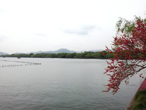 杭州两日游攻略推荐,杭州两日游攻略吃什么