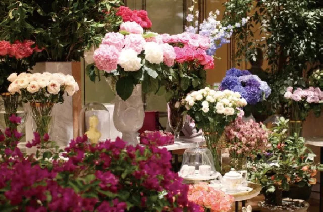 过生日去吃什么有优惠,上海过生日优惠攻略