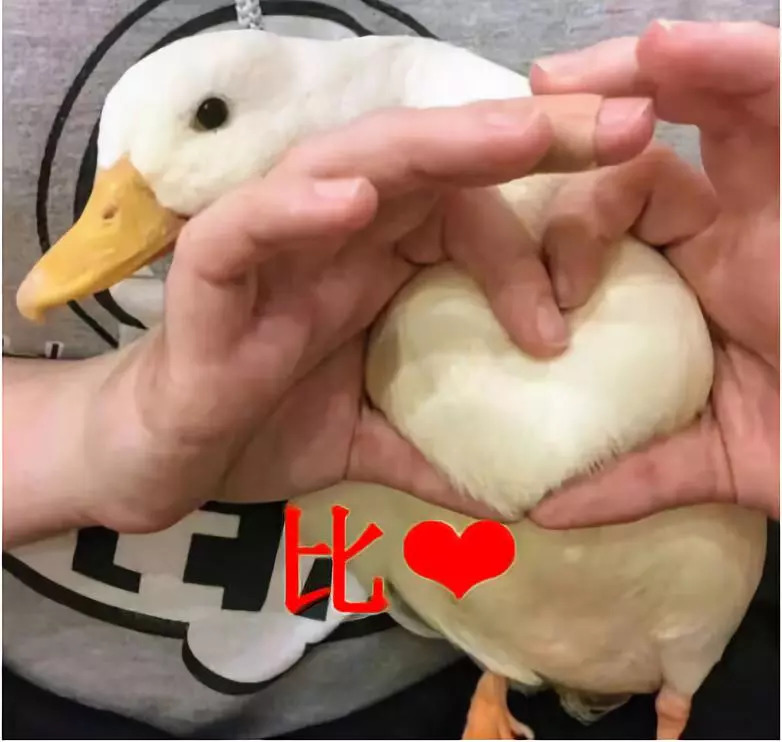 延禧攻略吃枇杷,延禧攻略有毒的枇杷膏