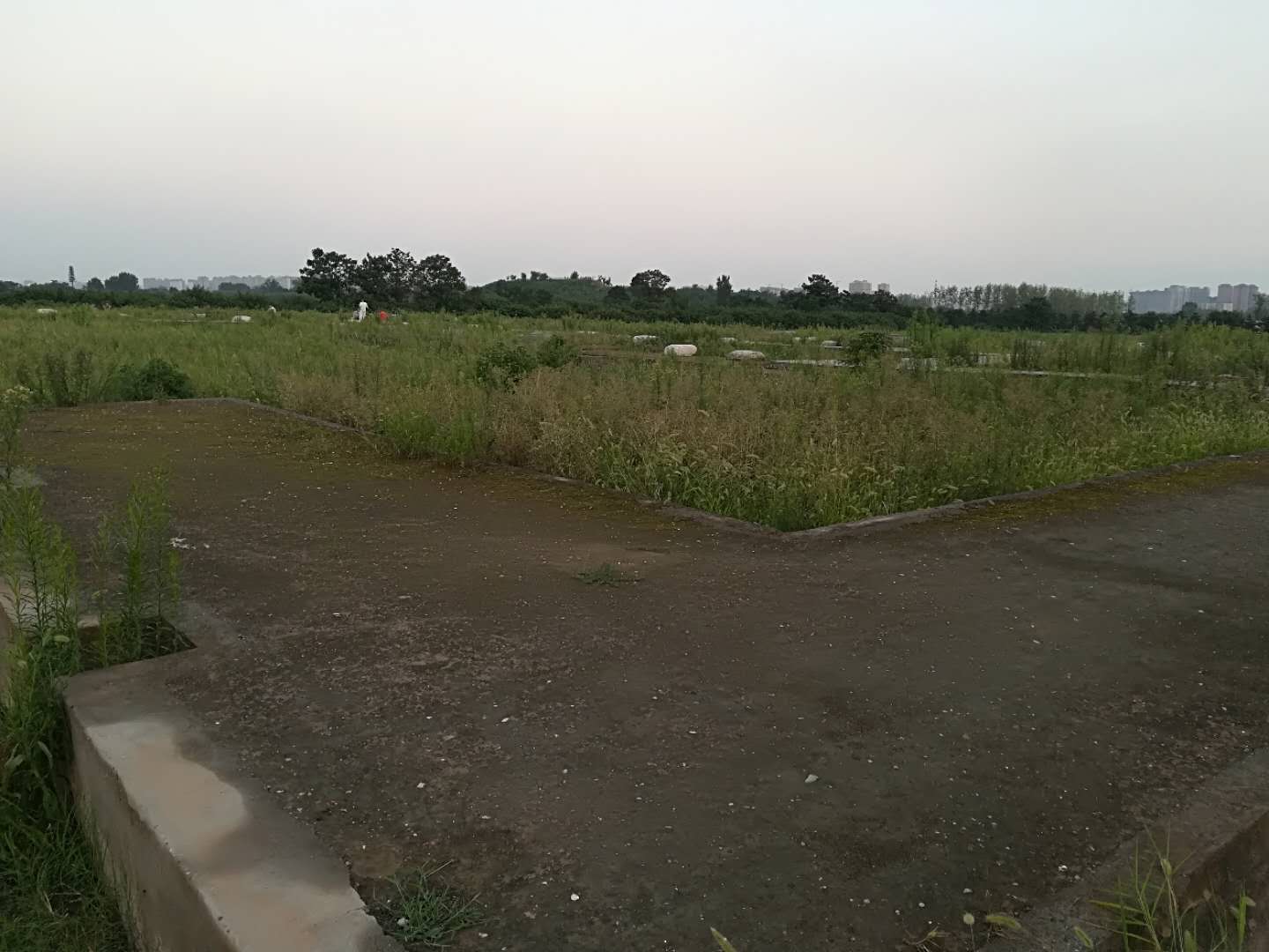 去什么天价楼兰古城，西安就有一座沉睡的“神秘古城”，免票！