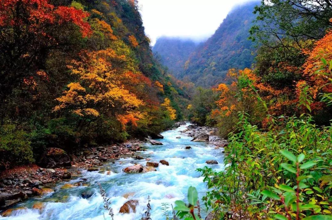 四川秋景第一名,四川欣赏秋景好去处