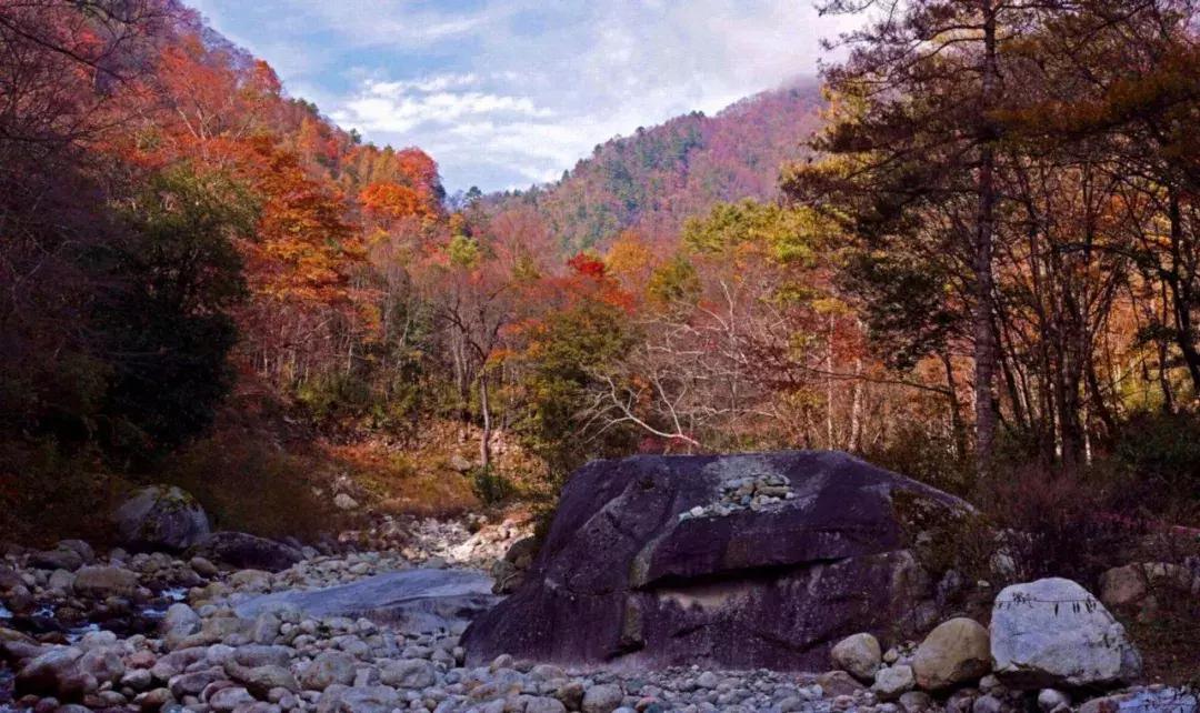 四川秋景第一名,四川欣赏秋景好去处