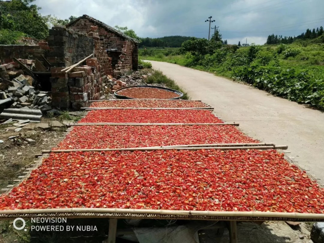 秀美乡村江西,秀美乡村活动视频