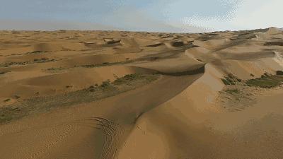 骆驼妈妈讲故事,骆驼妈妈完整版