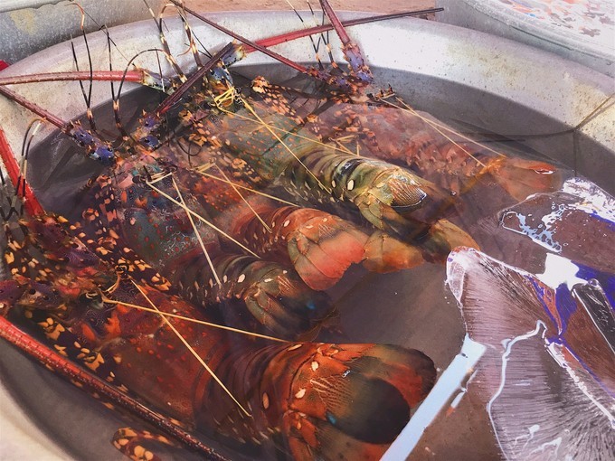 越南由南到北旅游方式,5000元越南8天7晚旅行全攻略