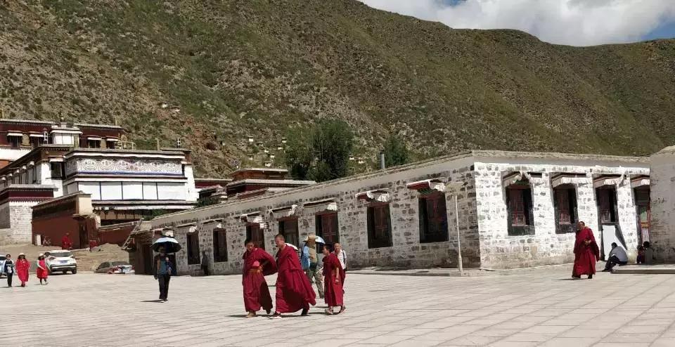 拉卜楞寺喇嘛居然能讲一口流利的英语桑科草原跑马收费陷阱多