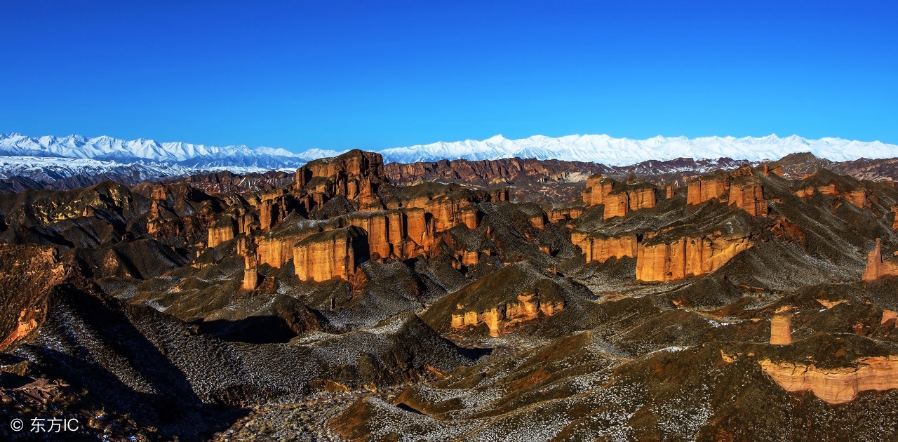 额济纳胡杨林露营攻略,额济纳胡杨林自驾游免费露营